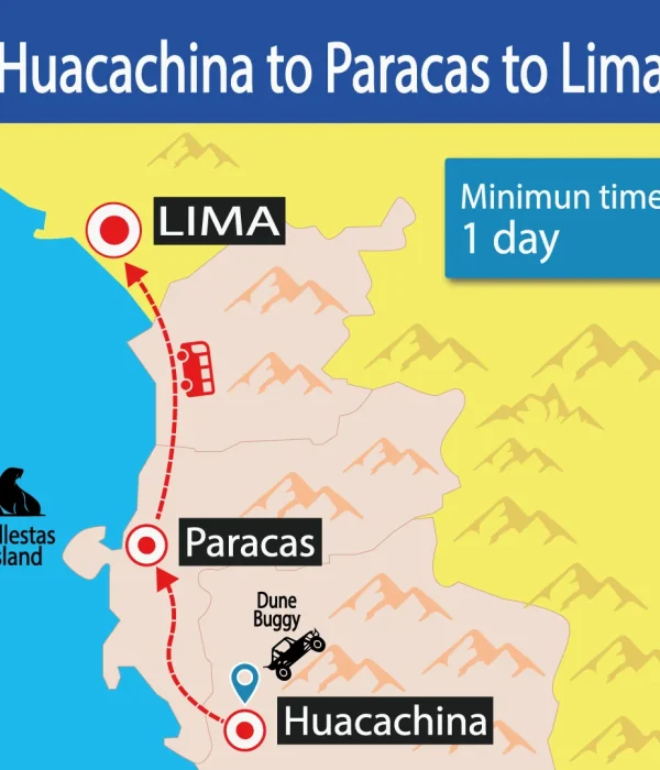 Bus Huacachina to Paracas to Lima | Shuttle Bus | Door to Door | Hop On Hop Off | Cheap Prices | Backpackers | Wayki Bus