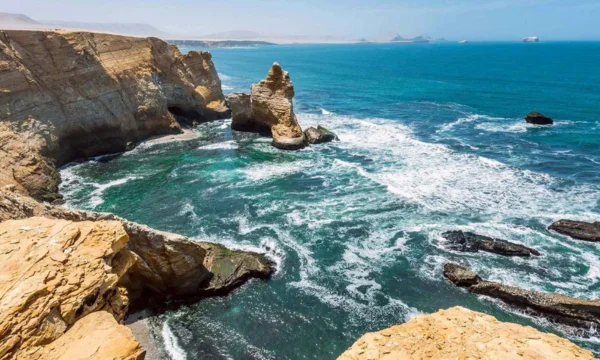 How to get to Paracas National Reserve from Lima | Wayki Bus