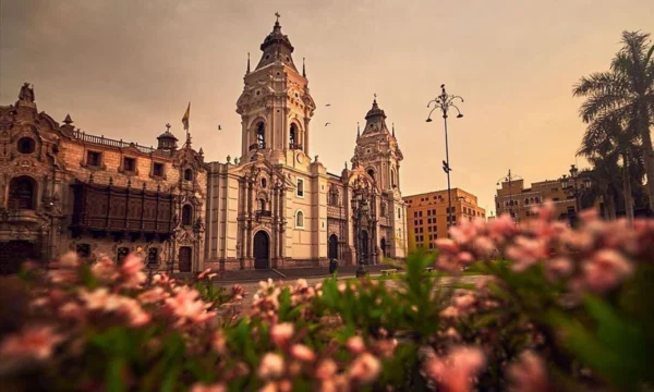 Things to do in Lima | Wayki Bus