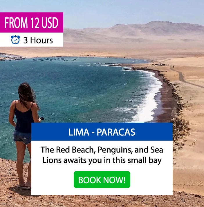 BUS TO PARACAS FROM LIMA | HOW TO GET TO PARACAS | WAYKI BUS | DOOR TO DOOR SERVICE