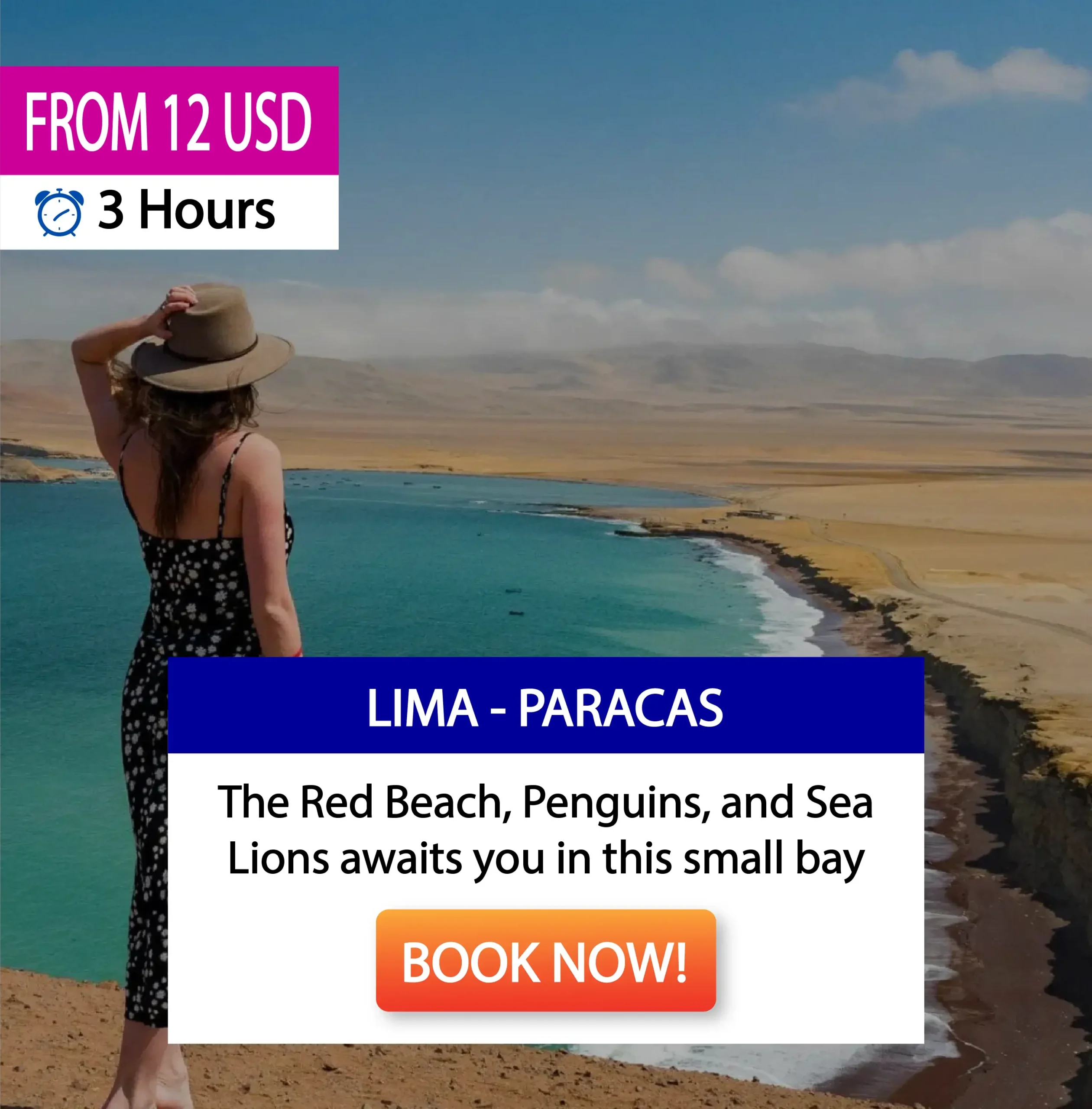 Bus to Paracas from Lima | Wayki Bus | Door to Door Service