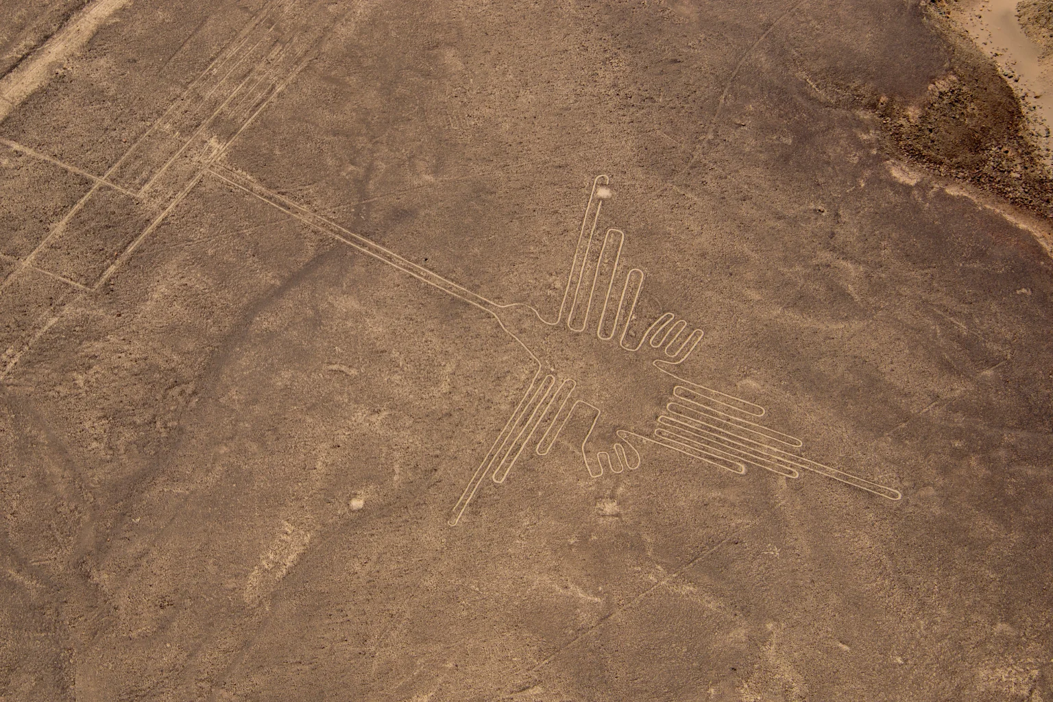 Hummingbird geoglyph in Nazca - Bus Huacachina to Nazca - Wayki Bus