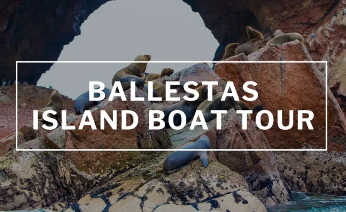 Ballestas Island Boat tour | Things to Do in Paracas | Wayki Bus